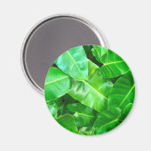 Aimant Green feuille Palm Leaf feuillage tropical jungle (Recto/Verso)
