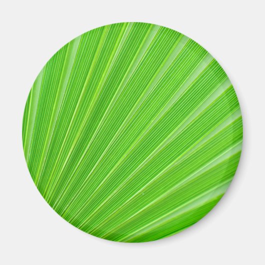 Aimant Green palm (Devant)