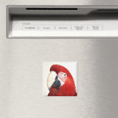 Aimant Green Wing Macaw Prinnie Parrot (In Situ (Lave-vaisselle))