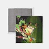 Aimant grenouille (Recto/Verso)