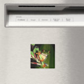 Aimant grenouille (In Situ (Lave-vaisselle))