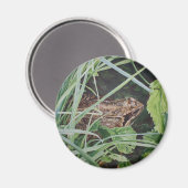 aimant grenouille (Recto/Verso)