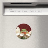 Aimant grenouille (In Situ (Lave-vaisselle))