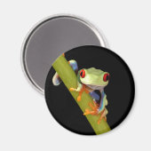 Aimant grenouille (Recto/Verso)