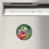 Aimant Grenouille (In Situ (Lave-vaisselle))