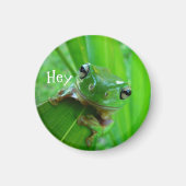 Aimant grenouille à arbre vert (Devant)
