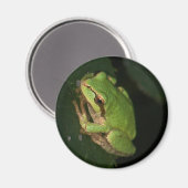 Aimant grenouille à arbre vert (Recto/Verso)