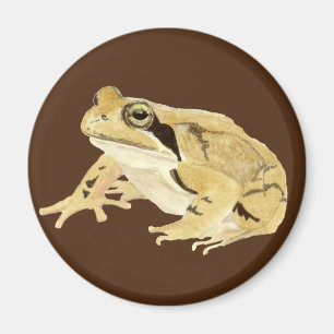 Aimant Grenouille à bois