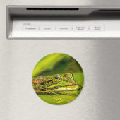 Aimant Grenouille à eau (In Situ (Lave-vaisselle))