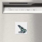 Aimant Grenouille à poison noire et verte (In Situ (Lave-vaisselle))