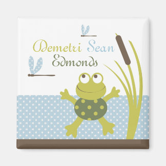Aimant Grenouille à ruban et libellule