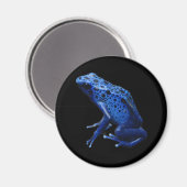 Aimant Grenouille à tarte à poison bleu (Recto/Verso)