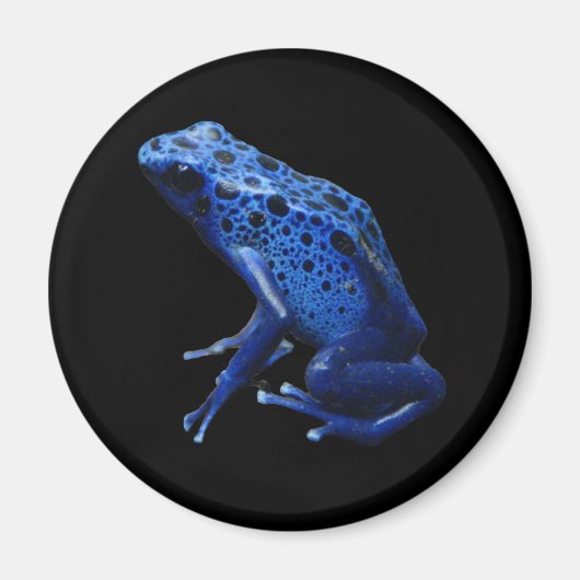 Aimant Grenouille à tarte à poison bleu (Devant)