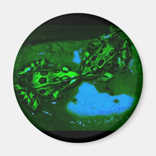 Aimant grenouille baiseuse (Devant)