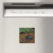 Aimant Grenouille colorée (In Situ (Lave-vaisselle))
