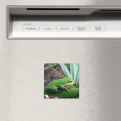 Aimant Grenouille d'écureuil, réserve de Timucuan, Florid (In Situ (Lave-vaisselle))