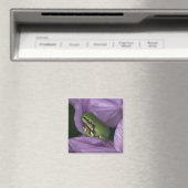 Aimant Grenouille des arbres de White (In Situ (Lave-vaisselle))