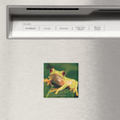 Aimant Grenouille des yeux rouges (In Situ (Lave-vaisselle))