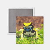 Aimant Grenouille empoisonnée, Dendrobates tinctorius, (Recto/Verso)