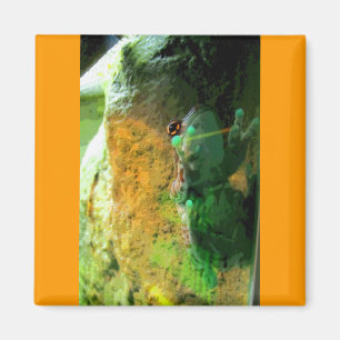 Aimant Grenouille Escalade CB