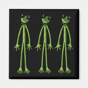 Aimant Grenouille maigre