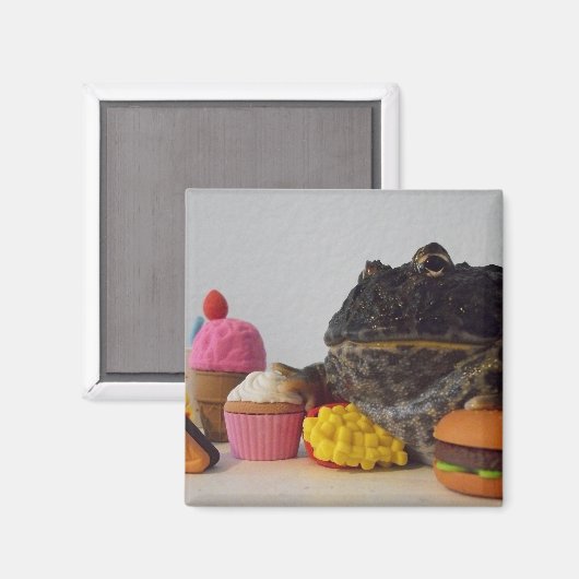 Aimant Grenouille mûre (Recto/Verso)