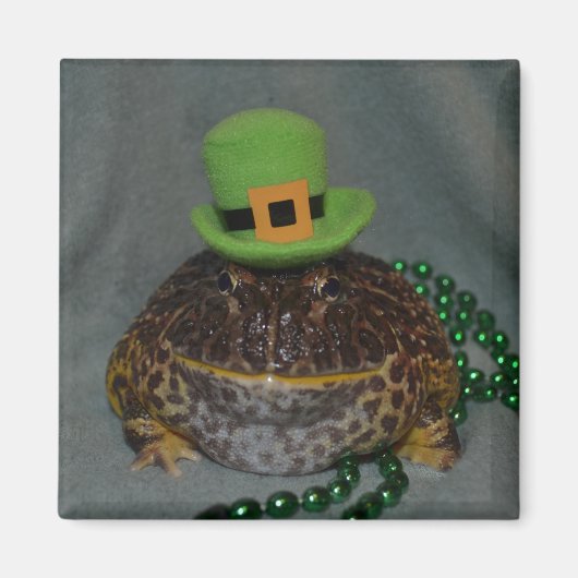 Aimant Grenouille mûre (Devant)