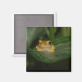 Aimant Grenouille sur une feuille (Recto/Verso)