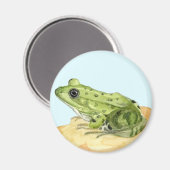 Aimant Grenouille verte (Recto/Verso)