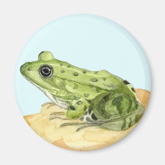 Aimant Grenouille verte (Devant)