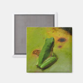Aimant grenouille verte (Recto/Verso)