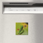 Aimant grenouille verte (In Situ (Lave-vaisselle))