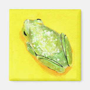 Aimant Grenouille verte sur la couleur pour aquarelle