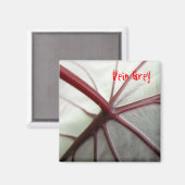 Aimant Grey Vein (Recto/Verso)