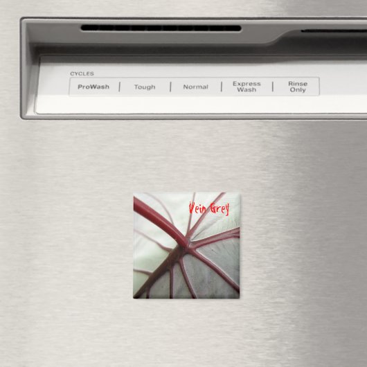 Aimant Grey Vein (In Situ (Lave-vaisselle))