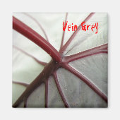 Aimant Grey Vein (Devant)