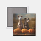 Aimant Greyhound Chiot Automne Citrouille de plaisir (Recto/Verso)