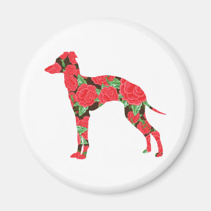 Aimant Greyhound italien