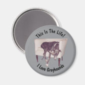 Aimant Greyhound This Is The Life  (Recto/Verso)