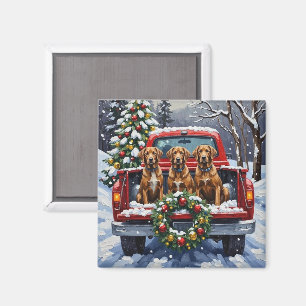 Aimant Griffon d'arrêt à poil dur camion rouge de Noël