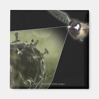 Aimant Grippe aviaire qui sort de l'oiseau