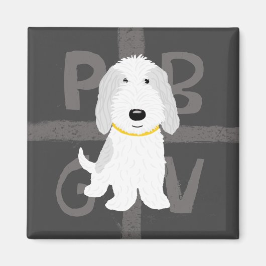 Aimant Gris et Blanc PBGV (Devant)