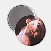 Aimant grizzli (Recto/Verso)