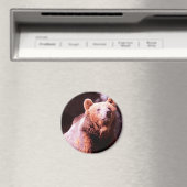 Aimant grizzli (In Situ (Lave-vaisselle))