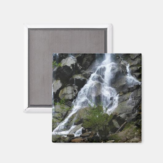 Aimant Grizzly Falls, King's Canyon National Park, (Recto/Verso)