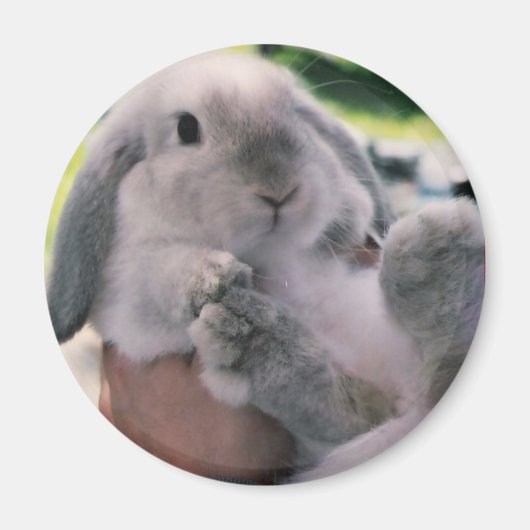 Aimant gros (Devant)