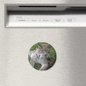 Aimant Gros chats - 11 (In Situ (Lave-vaisselle))