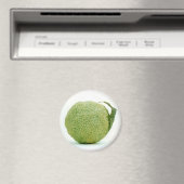 Aimant Gros héraut vert (In Situ (Lave-vaisselle))