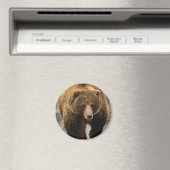 Aimant gros ours brun (In Situ (Lave-vaisselle))