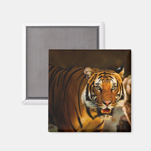 Aimant Gros plan (Recto/Verso)